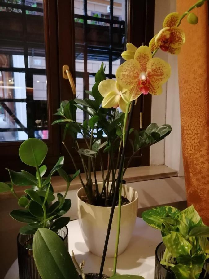 Hotel Julia Rom Eksteriør billede